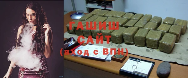 индика Елизово