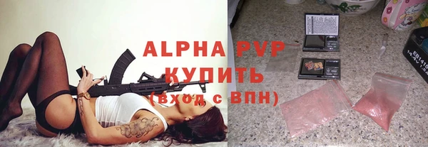 индика Елизово