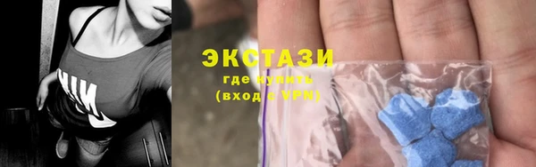 индика Елизово