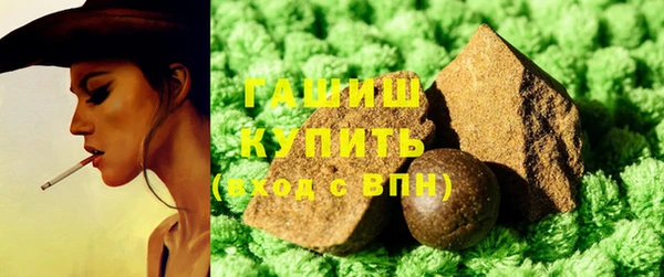 индика Елизово