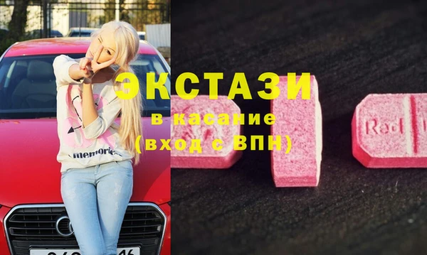 индика Елизово