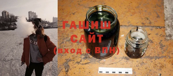 индика Елизово