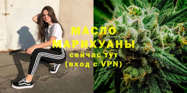 индика Елизово