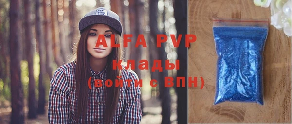 индика Елизово