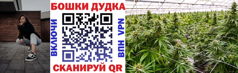Купить  Кирсанов  Канабис AK-47 